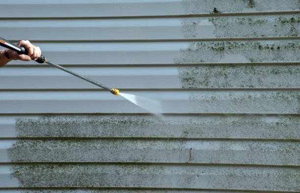 Local Pressure Washing Services in Carnesville, GA