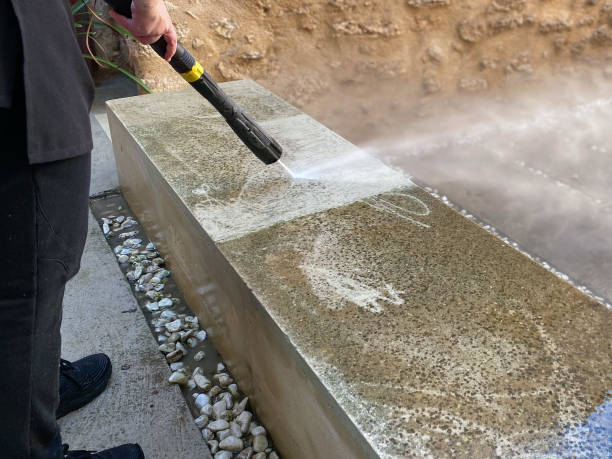 Best Local Pressure Washing Services  in Carnesville, GA