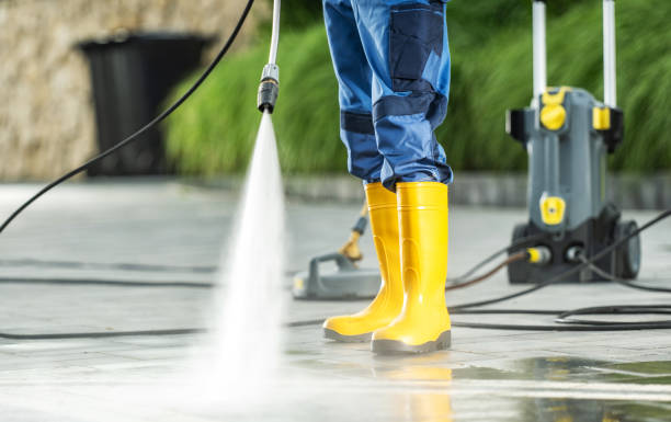 Best Roof Pressure Washing  in Carnesville, GA