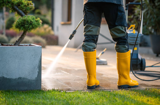 Best Local Pressure Washing Services  in Carnesville, GA